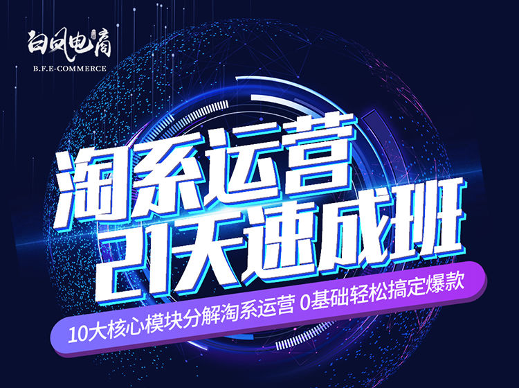 白凤电商-淘系运营21天速成班2025年5月更新(价值4999元)