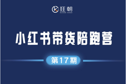 盗坤-小红书带货陪跑营17期2025年6月(价值1980元)