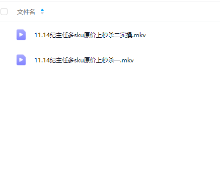 纪主任-多多特训营2025年11月14更新内部小课原价上秒杀(价值5288元)